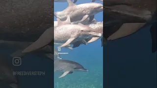 What if you hit every goal you had. What would your life look like? #shorts #motivation #living