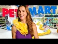 Taking My Burmese Python To PetSmart