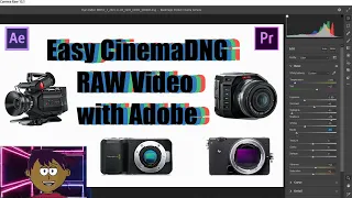 Easy Import/Processing Cinema DNG RAW Video with Adobe After Effects \u0026 Premiere