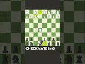 Download Lagu CHECKMATE in 6 (Latvian Gambit)