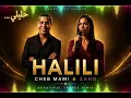 Cheb Mami x ZAHO – Halili (Beautiful Trance)