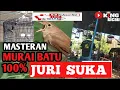 masteran murai batu yang paling di sukai JURI II#MURAIBATU#RAWTANMUTAIBATU#MASTERANUTAIBATU