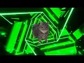 Download Lagu OIIA Spinning Cat (Festival Anthem)
