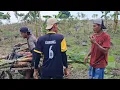 Download Lagu GOLEK WINEH PISANG KANGGO PROYEK BARU NE PAK DIK🪴