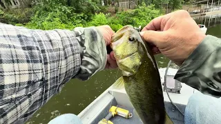GAME AND FISH