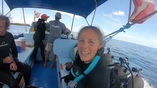 Scuba Diving: Shark Reef Drift Dive in Grenada – Sailing Sweet Ruca