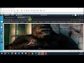 Scanning and Brute Forcing Web Directories and Objects