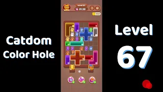 Catdom Color Hole Level 67 Screenshot