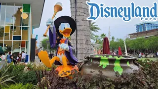 RAINY Merch Search at Disneyland Resort ⛈️