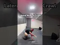 Lateral Monkey Crawl