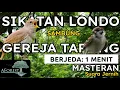 Download Lagu MASTERAN MURAI BATU || SIKATAN LONDO SAMBUNG GEREJA TARUNG Tembakan Tajam BERJEDA 1 MENIT