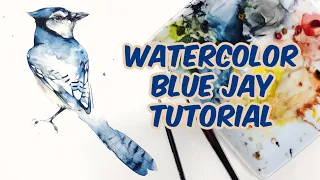 Download Full Watercolor Blue Jay Tutorial - Easy bird painting MP3