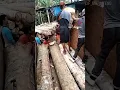 kata.kata pak buat pejuang rupiah