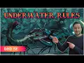 Land Is Bland Take D D 5e Underwater Rules for Visibility Combat Suffocation and More