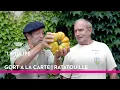 Download Lagu Gort a la Carte | Seizoen 2 | AFL 3. RATATOUILLE