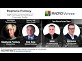 Stephanie Pomboy S P Earnings Do Not Equal Corporate Profits