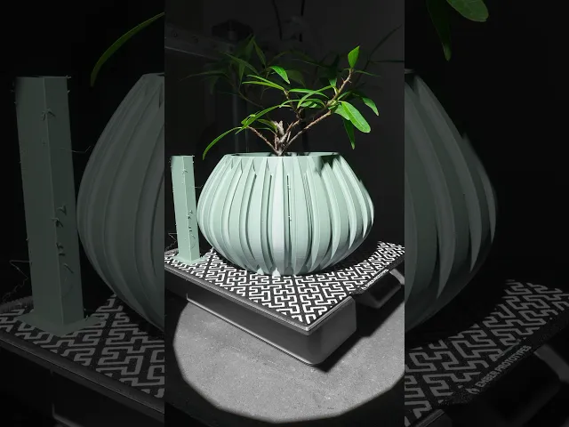 The Leno Planter Pot with Drainage Tray & Stand | Modern and Unique Home Decor for Plants video thumbnail