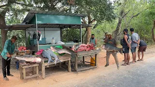 THERAPEUTIC! Fast & Clean Slicing of HUGE Catla Fish in a Breathtaking Village Environment