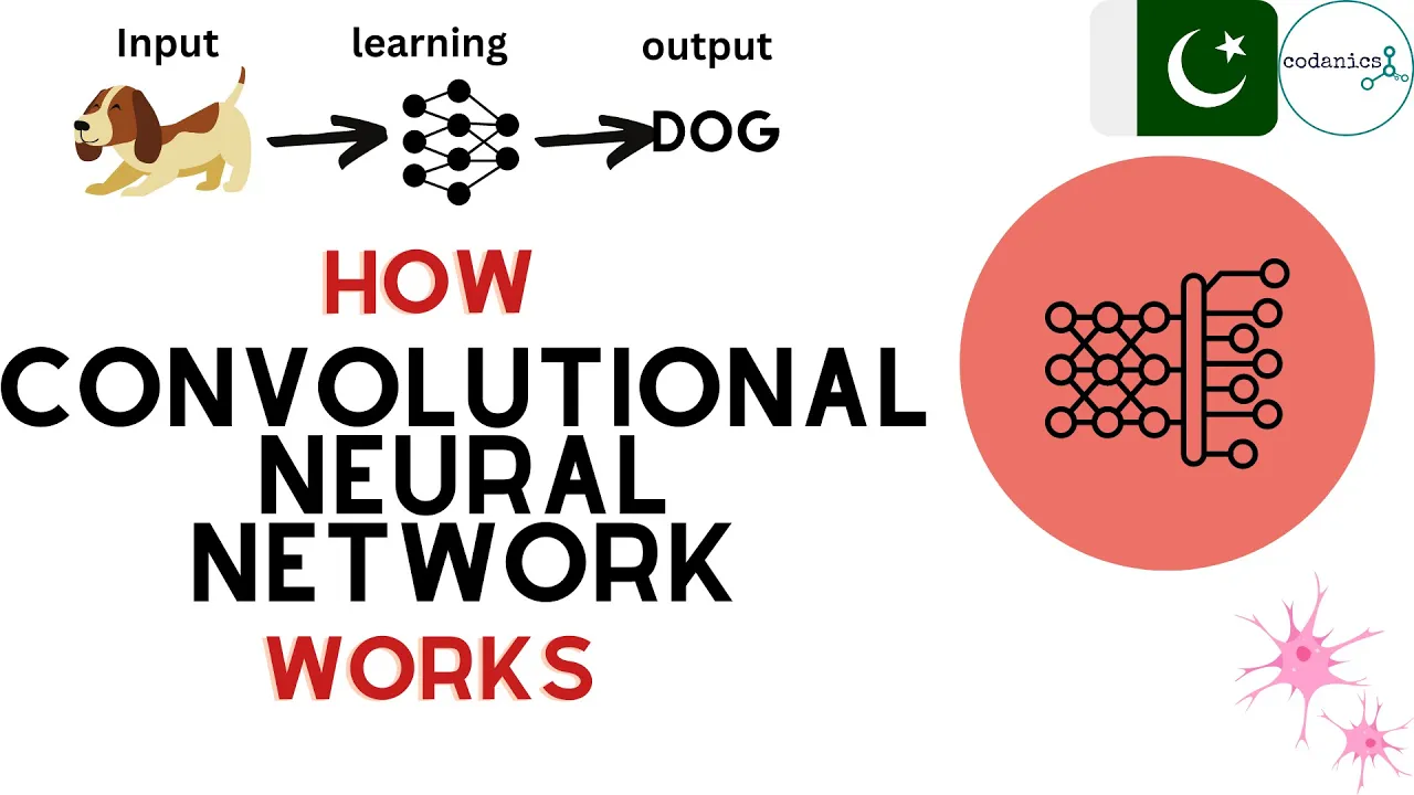 How convolutional Neural Networks (CNN) Work? |in Urdu/Hindi