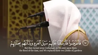 ولقد آتينا داوود منا فضلا سورة سبأ 10 23 القارئ ناصر القطامي 