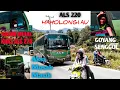 Download Lagu DJ HAHOLONGI AU Versi BUS ALS | LAGU BATAK TERPOPULER | BUS VIRAL | SALAM METAL
