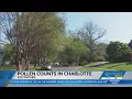 Charlotte s lone pollen counter