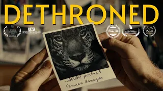 The Dark World of Big Cat Trafficking | Award-Winning Wildlife Crime Documentary
