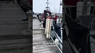 Clearing the dock so she don’t bark at a seal and wake the neighbors.. #fyp #pets #vlog #sailing
