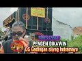 Lagu PENGEN DIKAWIN || NIKE CANDU || TEAM OIYES || DS GADINGAN SLIYEG 