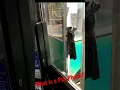 Download Lagu Have you ever seen a Payphone?🤯‼️🙃#shorts #youtubeshorts #yosemite #payphone #oldskool