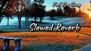 pinjre de vich band ni rahna ase sera ne lofi song slowed and reverb viral machhuara gamer 