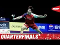 BWF Thomas Cup Finals 2024 | China vs. India | QF