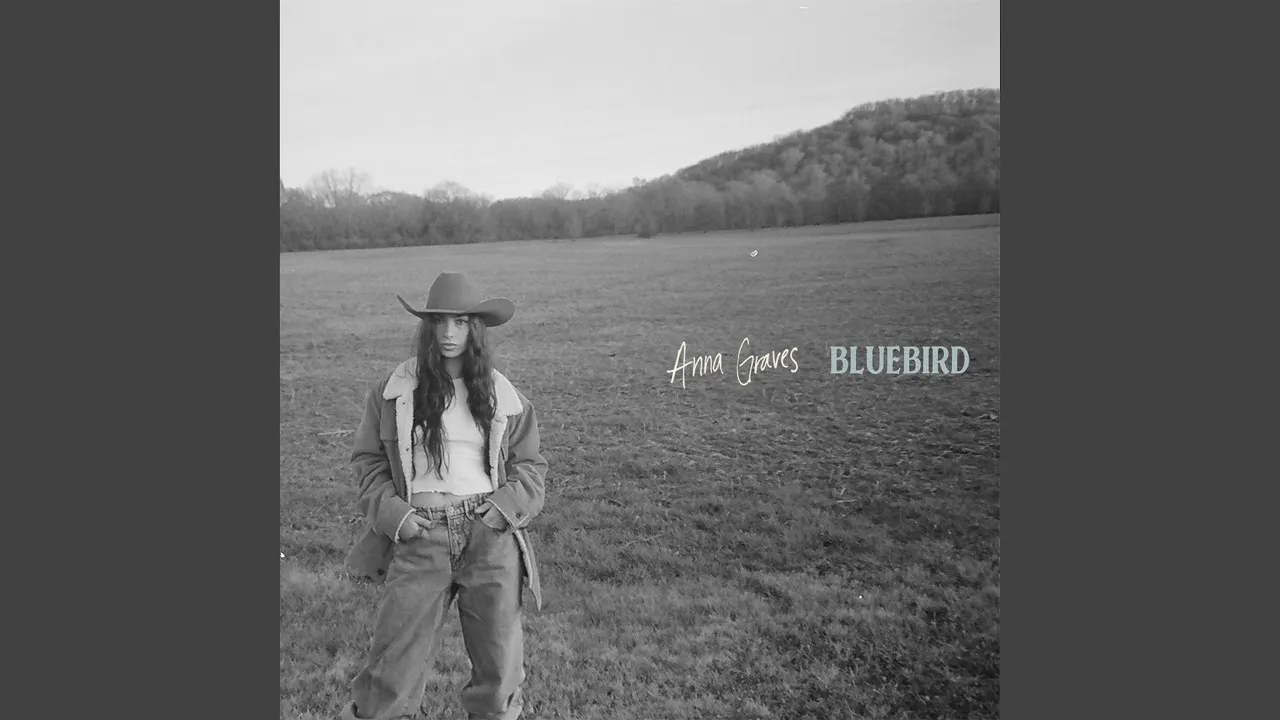 Bluebird Bluebird