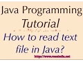 How to read text file in Java