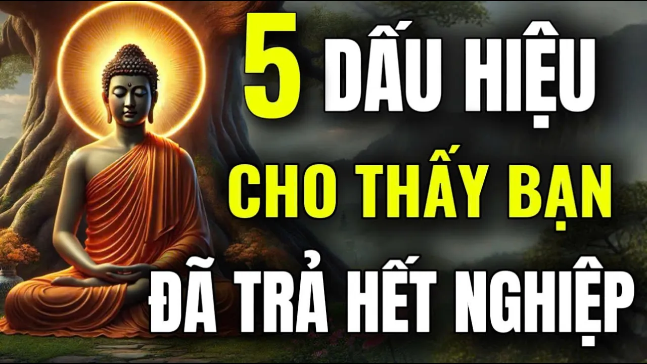 Outline Video 5 Dấu Hiệu Cho Thấy Bạn Đã Trả Hết Nghiệp - Nghe Để Biết