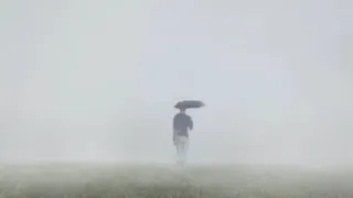 desolated oc
