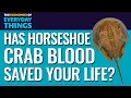 Download Lagu 28. Horseshoe Crab Blood | The Economics of Everyday Things