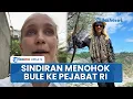 Download Lagu Sosok Jane Bule Jerman Sindir Pejabat RI \