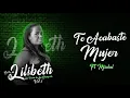 Download Lagu Te Acabaste Mujer [Audio Oficial] - Lilibeth ft Michel