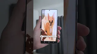 هذا غريب جدا   دندنها