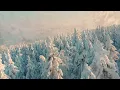 Download Lagu #Сладкий #сон #Сергей #Васюта На белом покрывале января
