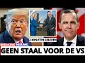 Download Lagu 2 minuten geleden  Trump EIST staal, Carney SLAAT de deur dicht – Detroit STORT IN tijdens de nacht