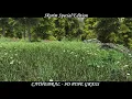 Skyrim SE - Grass Mod Cathedral