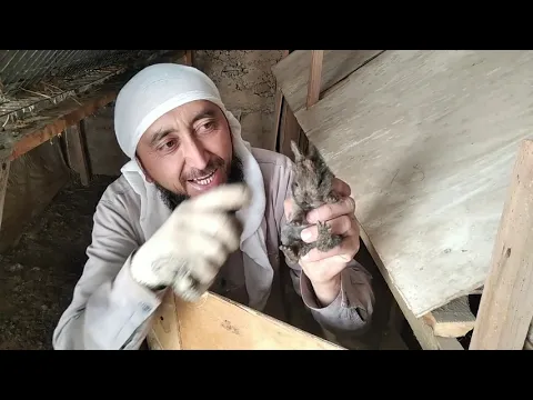 KOPAYISH MAVSUMIGA TAYYORGARLIK TAJRIBA VA TAVSIYALAR