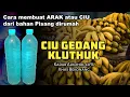 Download Lagu Cara Membuat Ciu Gedang Kluthuk Bekonang Viral