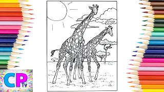 Giraffe Coloring Animals - Savannah feat Philly K NCS Release