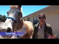 Horsing around with the shut-in seniors in Prescott AZ