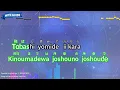 Sparkle [original ver.] – RADWIMPS (Romaji Karaoke with guide)