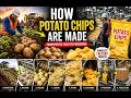 How Potato Chips Are Made Full Factory Production Process