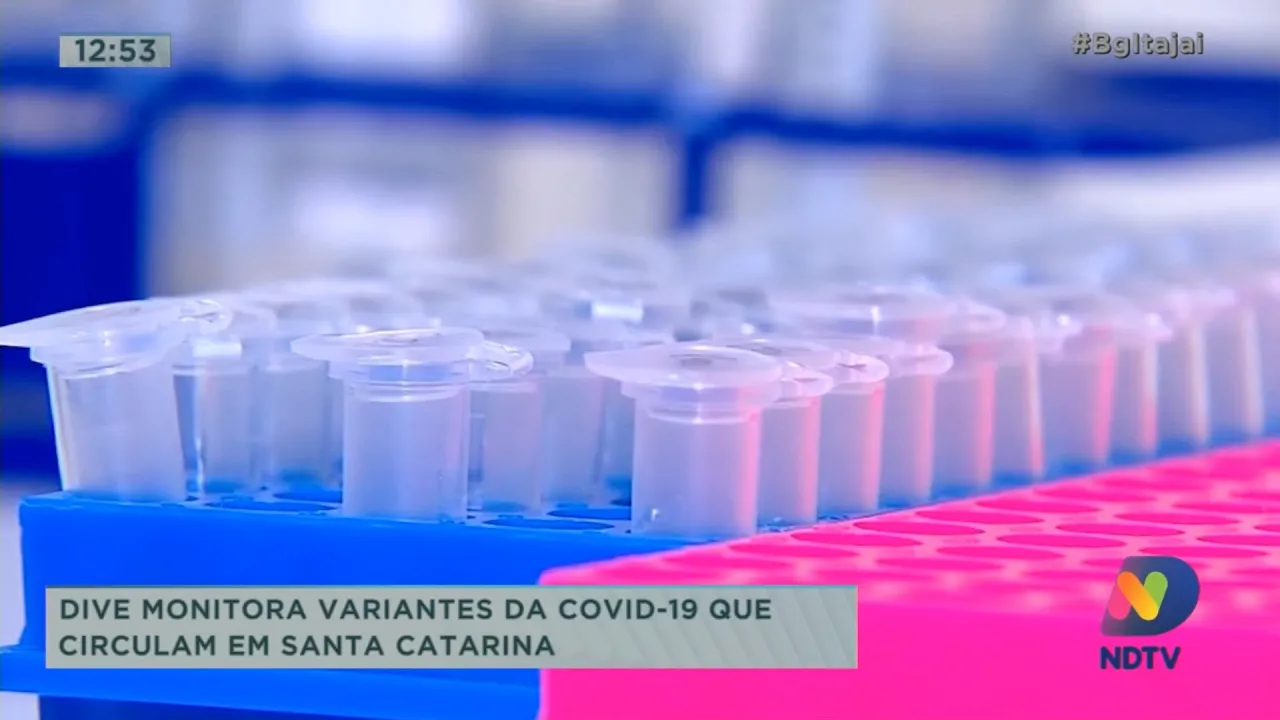 DIve monitora variantes da Covid-19 que circulam em Santa Catarina